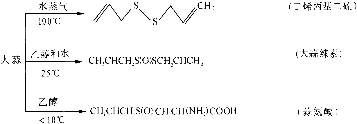 一、大蒜的化學(xué)組成